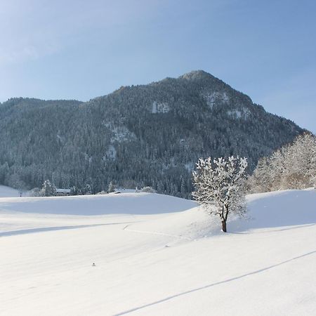 Ferienhaus Weber-Haeusl Reith im Alpbachtal Luaran gambar